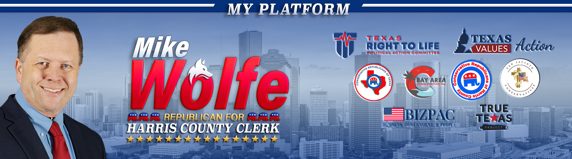 Mike Wolfe's Platform